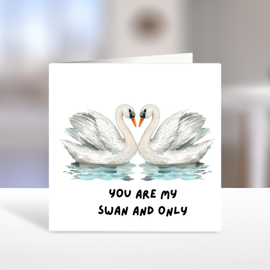 Swan and Only- Birthday Valentines Anniversary